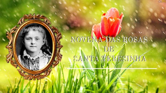 Novena das Rosas de Santa Teresinha – 7º Dia