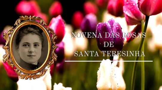 Novena das Rosas de Santa Teresinha – 9º Dia