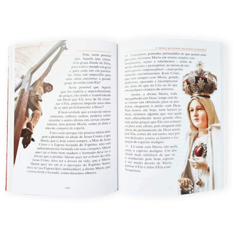Livro (2)