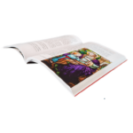 Livro (3)