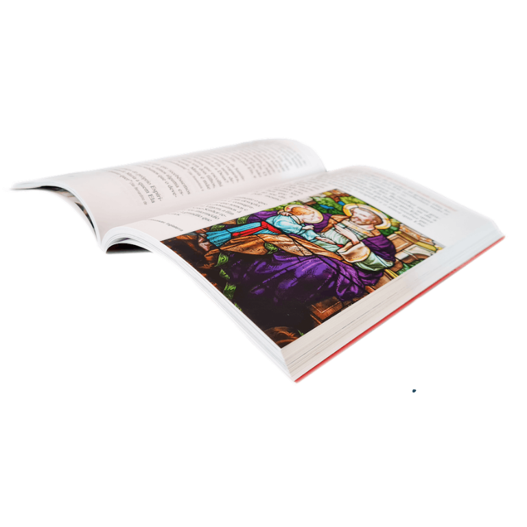 Livro (3)